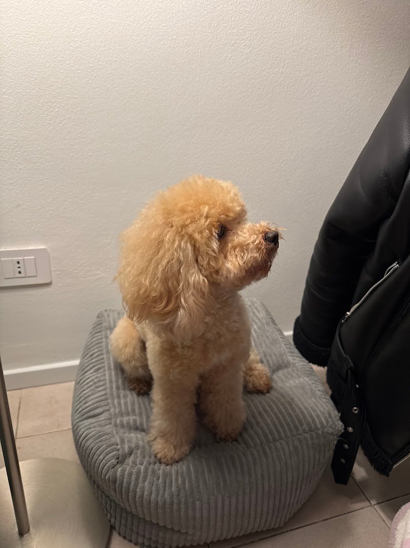 AlphaPet Udine - Foto 4