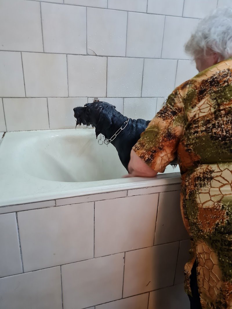 Altamura Zoo Di Dolinar Liviana - Foto 2