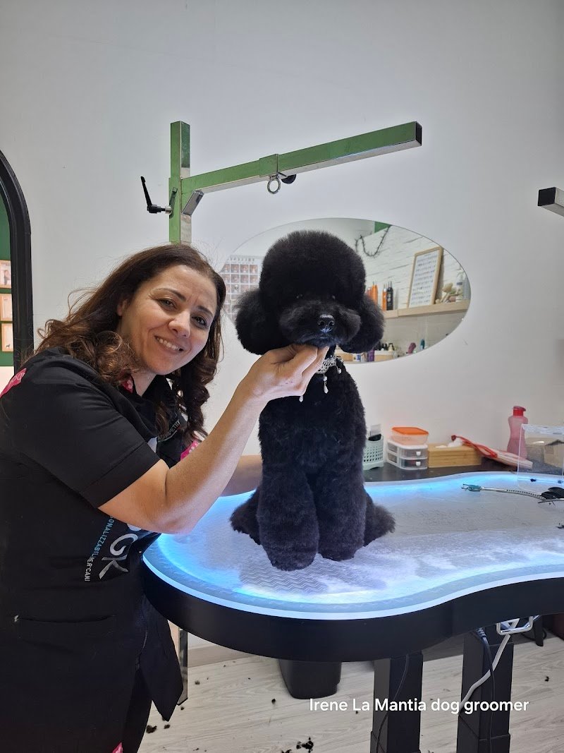 Alvin superstar - Foto 1