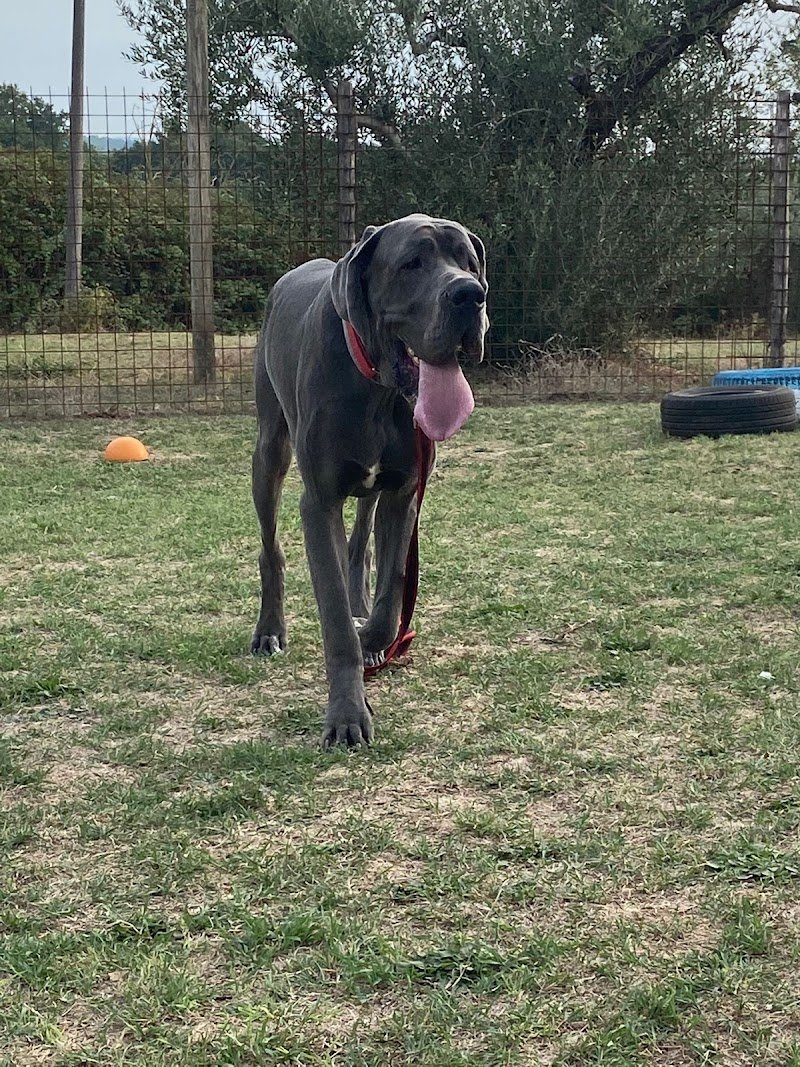 Ambulatorio Triola - Foto 2