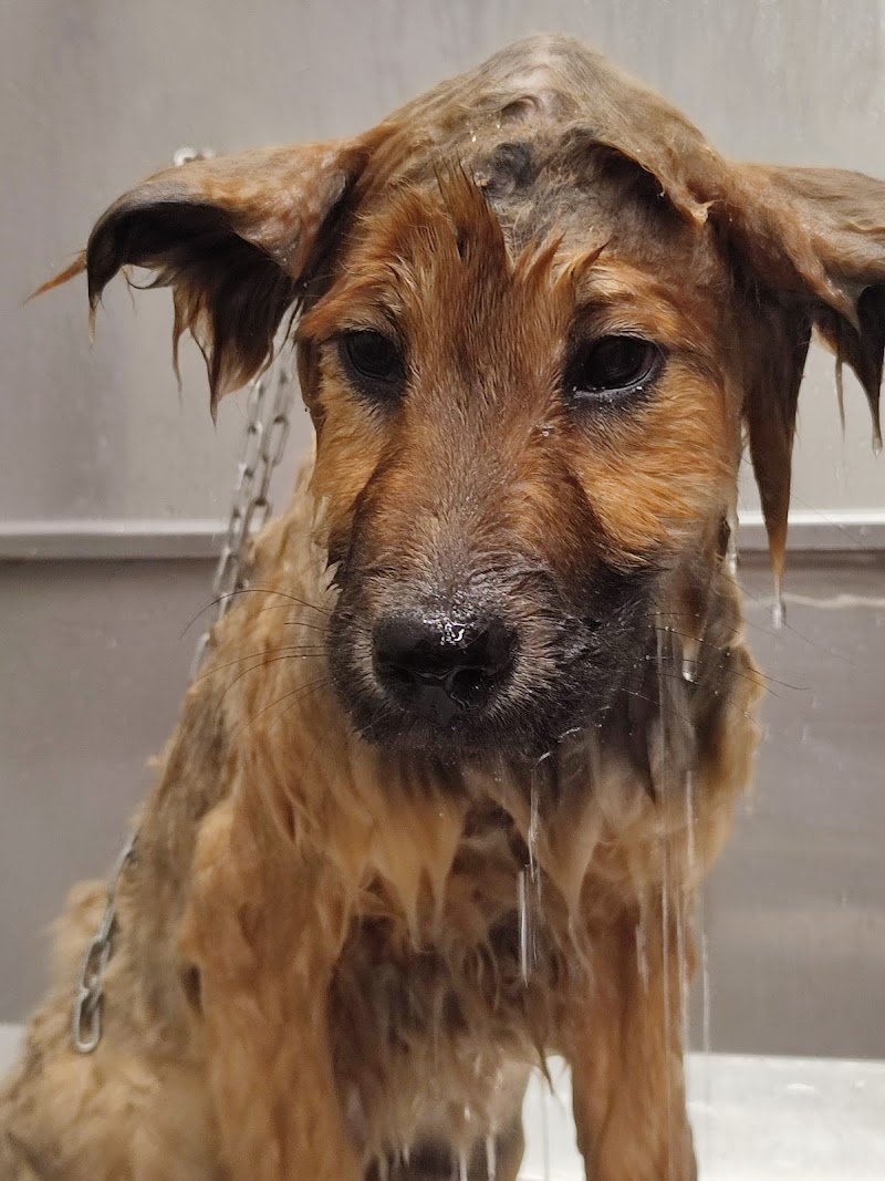 Ambulatorio Triola - Foto 5