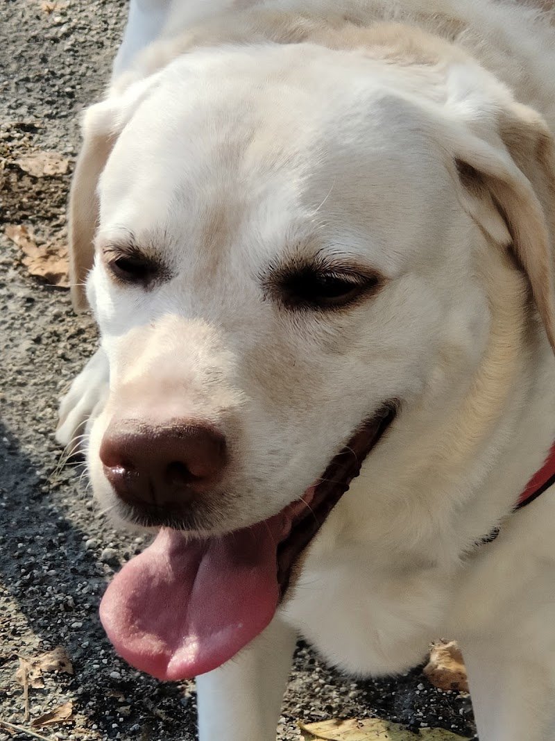 Ambulatorio Triola - Foto 6