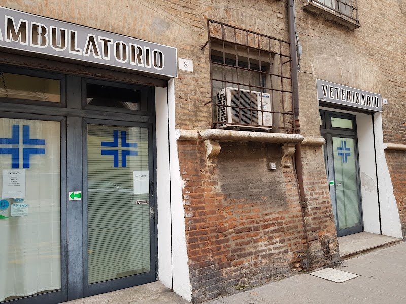 Ambulatorio Veterinario Boldrini Nicola e Poletti Rossella - Foto 1