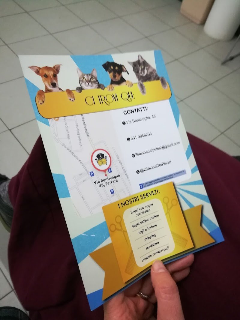 Ambulatorio Veterinario Boldrini Nicola e Poletti Rossella - Foto 2