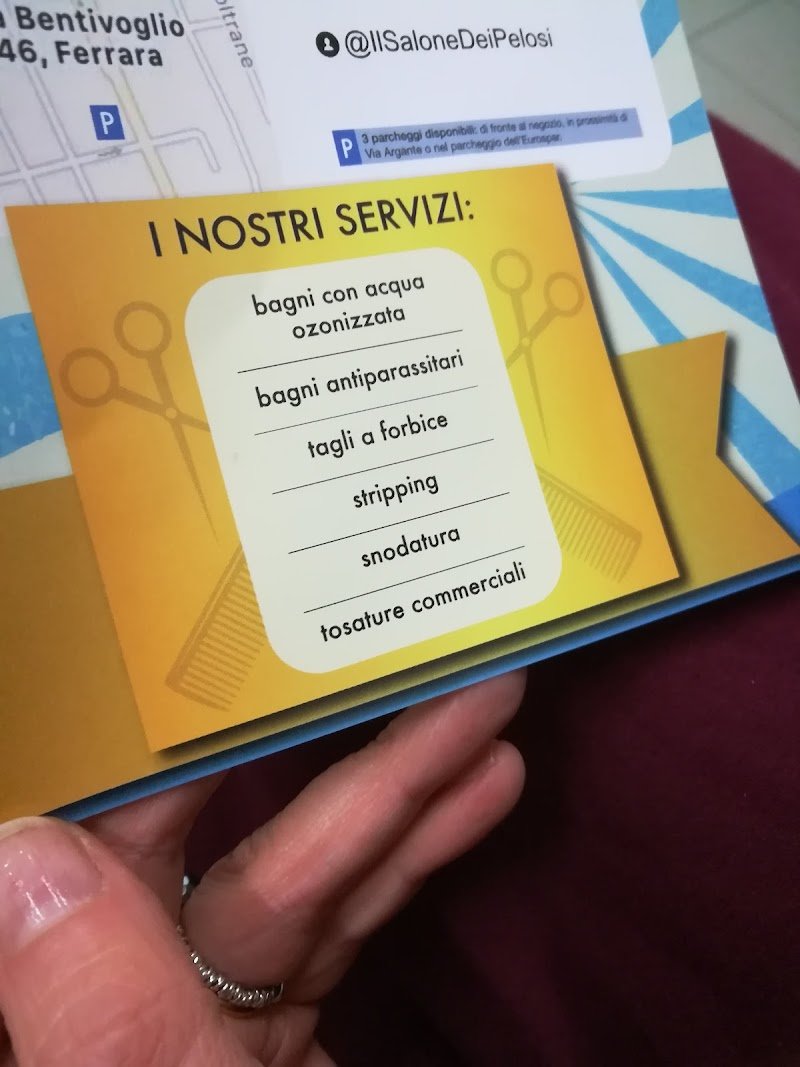 Ambulatorio Veterinario Boldrini Nicola e Poletti Rossella - Foto 3