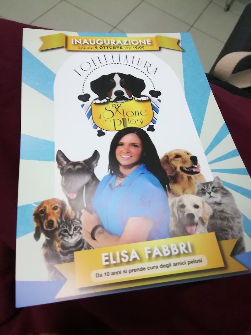 Ambulatorio Veterinario Boldrini Nicola e Poletti Rossella - Foto 4