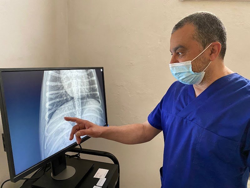 Ambulatorio Veterinario Friulano del dott. De Stefanis Costantino - Foto 1