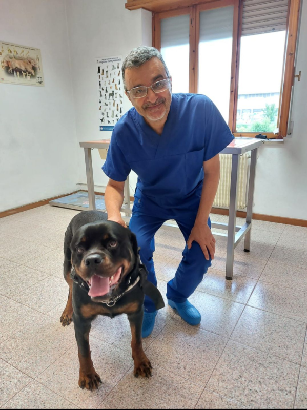 Ambulatorio Veterinario Friulano del dott. De Stefanis Costantino - Foto 2