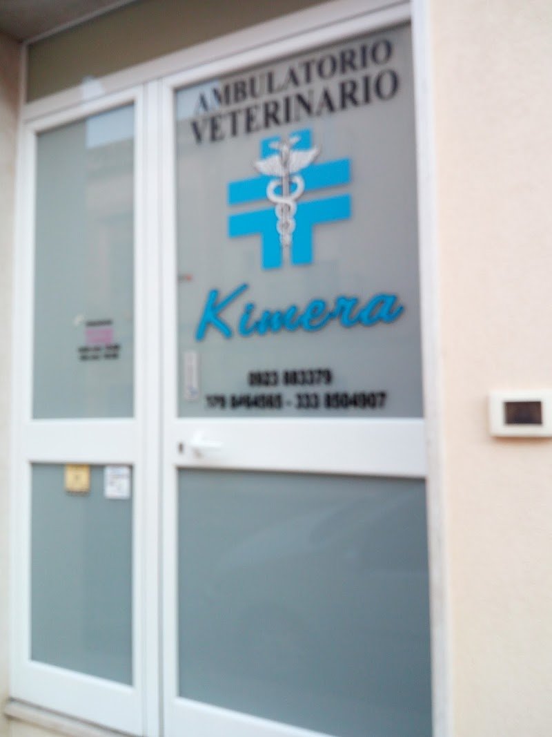 Ambulatorio Veterinario Kimera - Foto 3