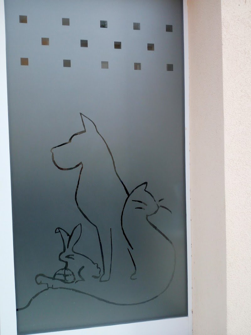 Ambulatorio Veterinario Kimera - Foto 4