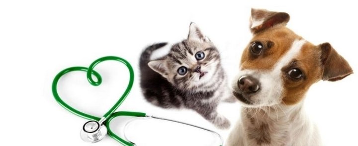 Ambulatorio veterinario- Petshop & Toelettatura "Il Bradipo" - Foto 5