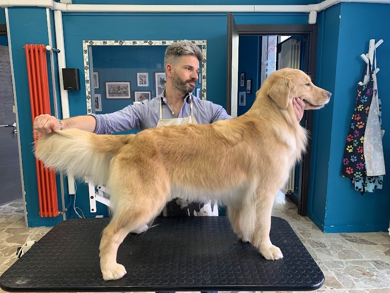 Ametista Centro Toelettatura - Foto 1