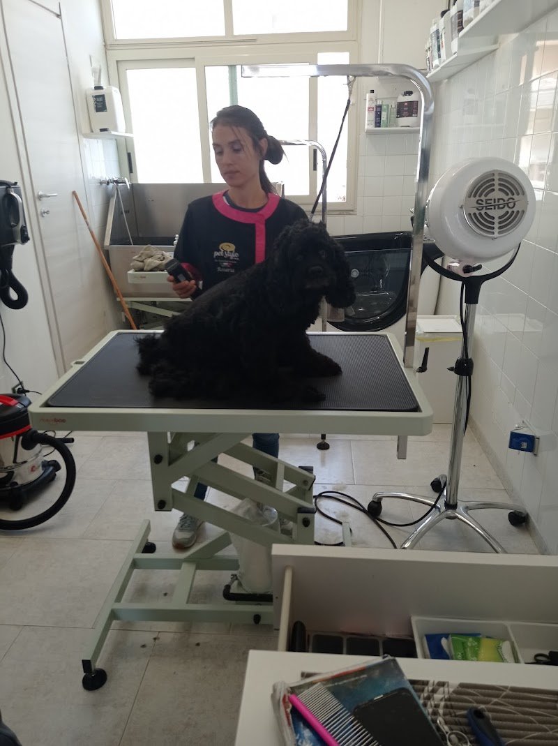 Amici a 4 zampe - Foto 1