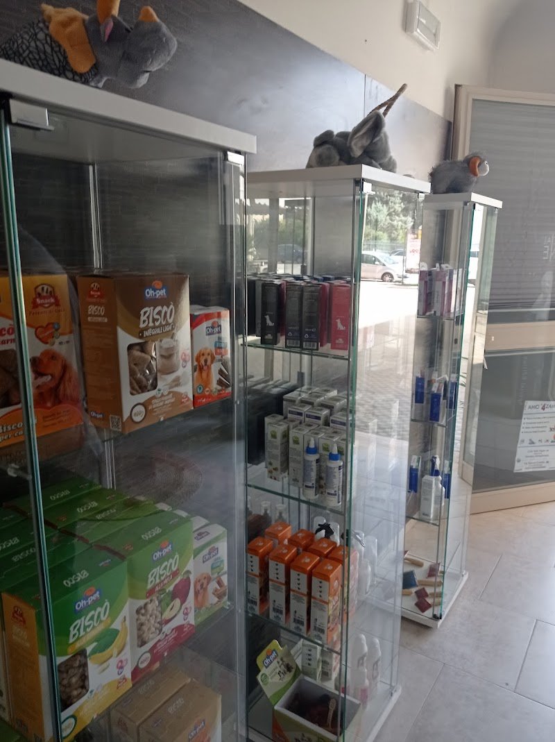 Amici a 4 zampe - Foto 6