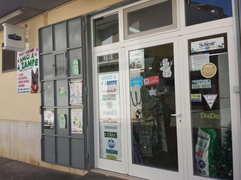 Amici a 4 zampe di Nicola Vitale - Foto 1