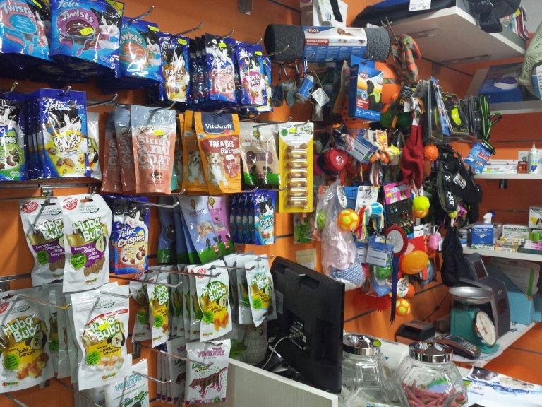 Amici a 4 zampe di Nicola Vitale - Foto 2