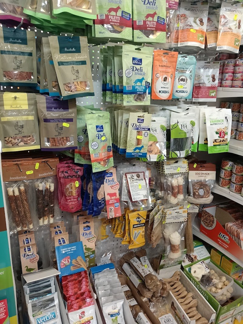 Amici a 4 zampe di Nicola Vitale - Foto 3