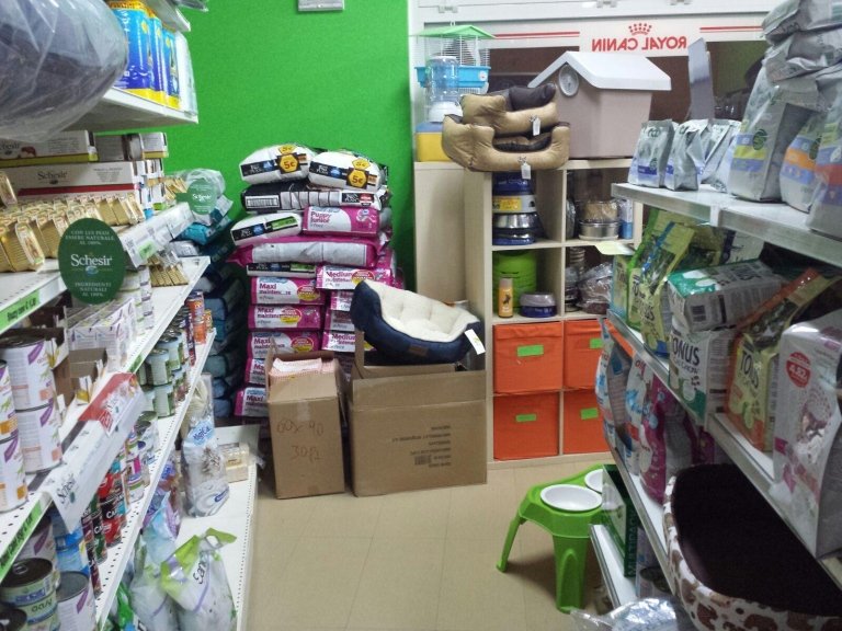 Amici a 4 zampe di Nicola Vitale - Foto 4