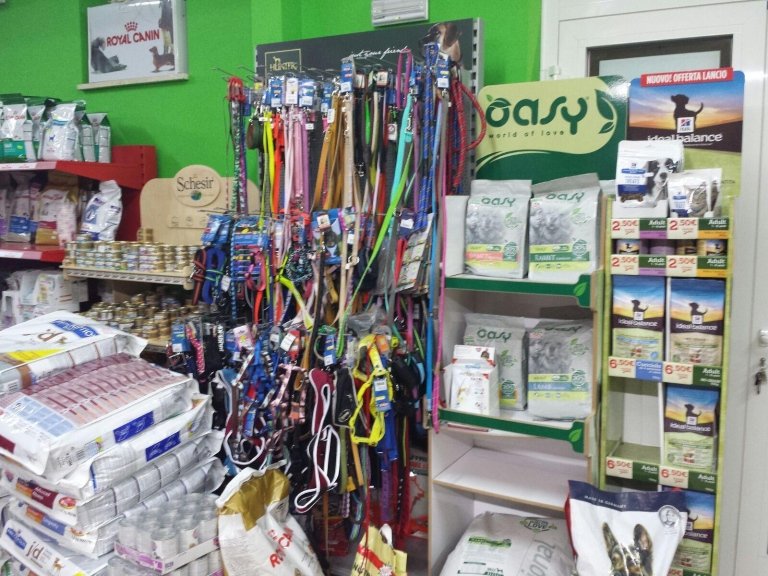 Amici a 4 zampe di Nicola Vitale - Foto 6