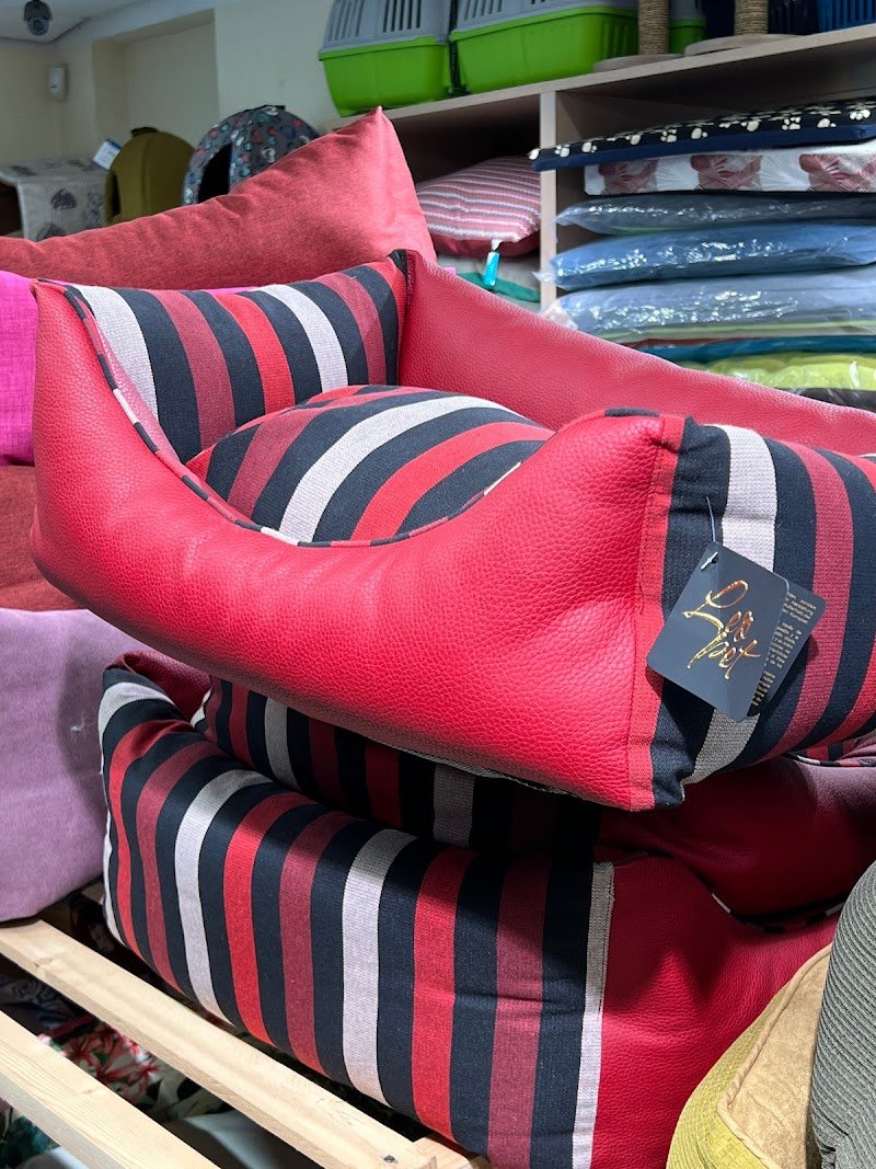 Amici a 4 Zampe - Foto 5