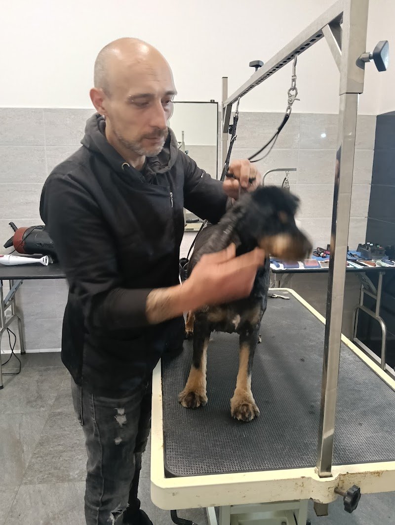 Amici a 4 zampe toelettatura - Foto 2