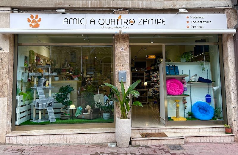 Amici a quattro zampe - di Alessandro Nicastro - Foto 1