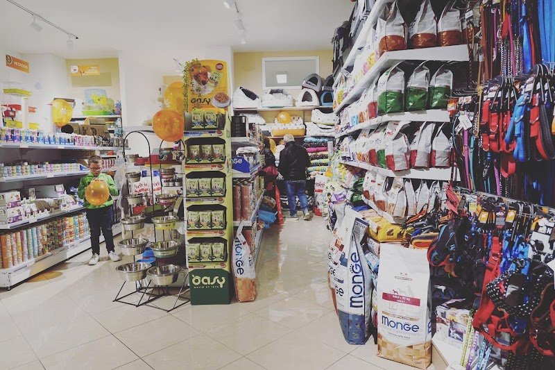 Amici a quattro zampe - di Alessandro Nicastro - Foto 2