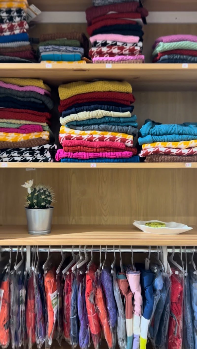 Amici a quattro zampe - di Alessandro Nicastro - Foto 3