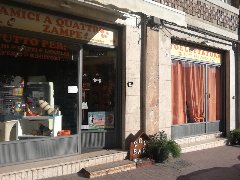 Amici a quattro zampe - di Alessandro Nicastro - Foto 4