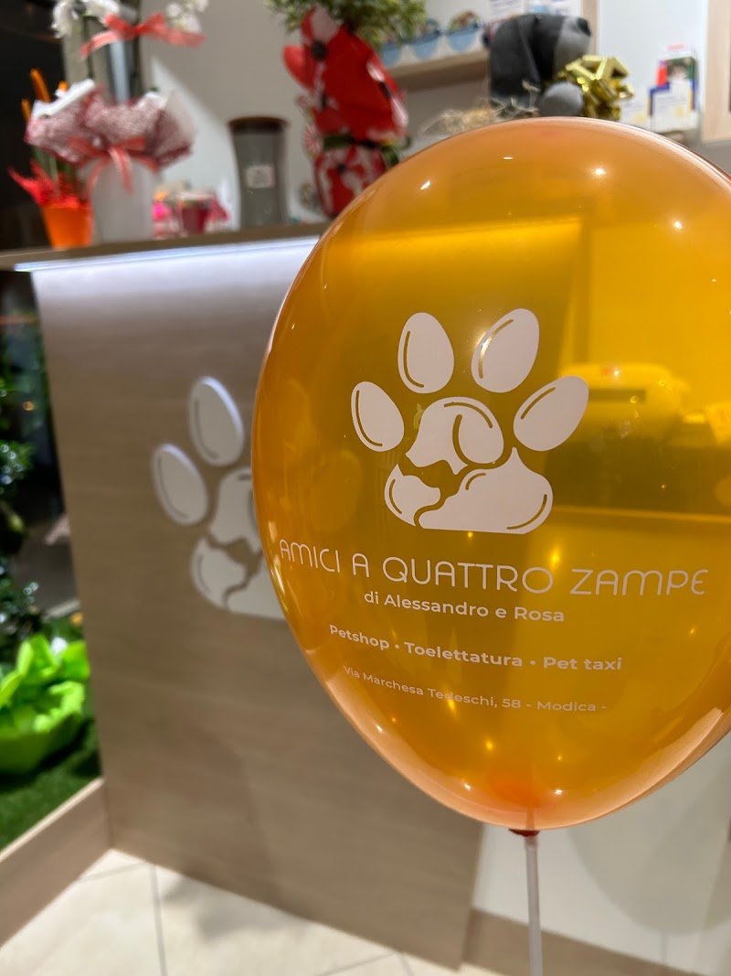 Amici a quattro zampe - di Alessandro Nicastro - Foto 5