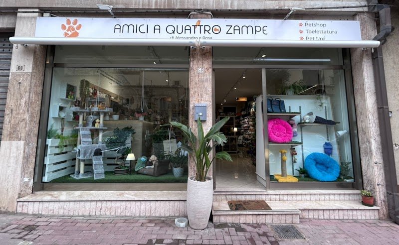 Amici a quattro zampe - di Alessandro Nicastro - Foto 6