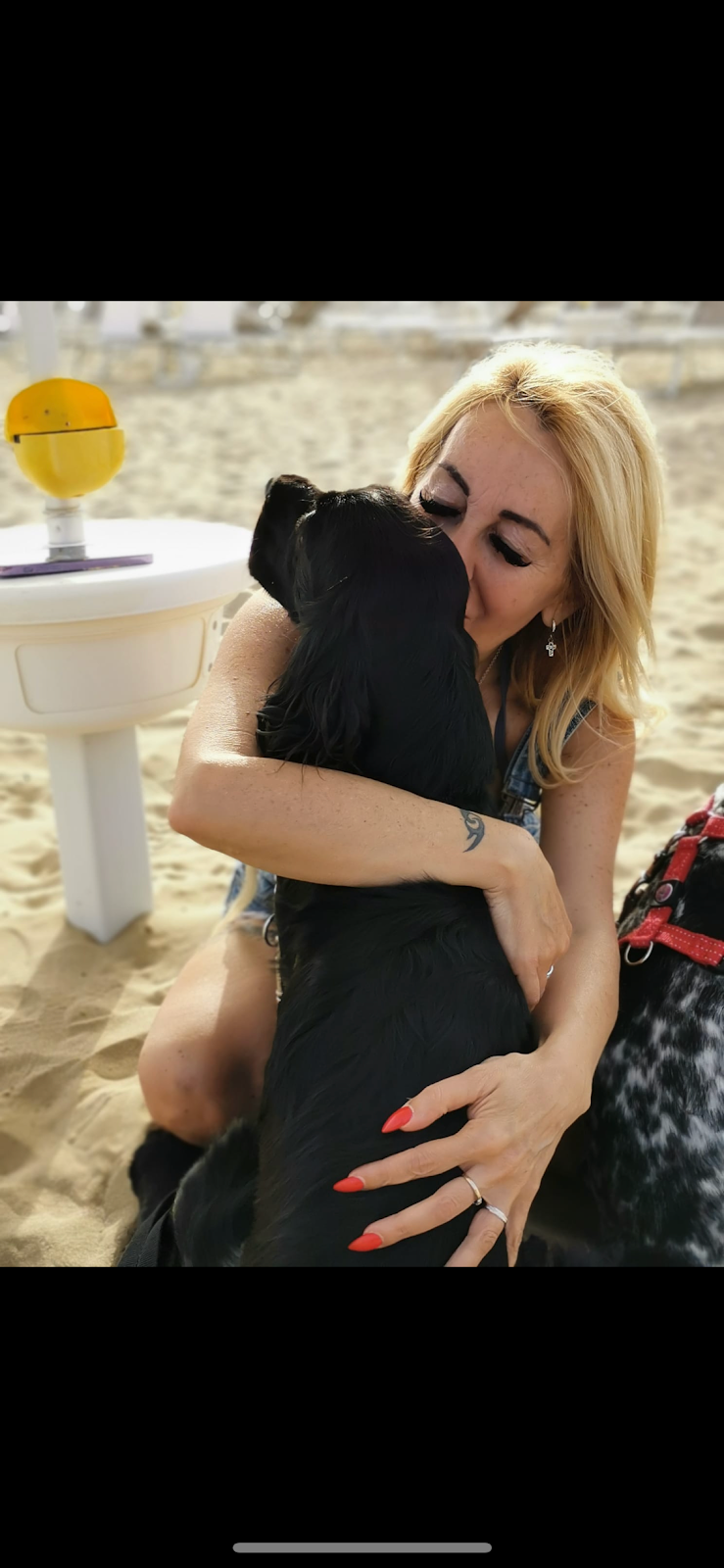 Amici a Quattro Zampe - Foto 4