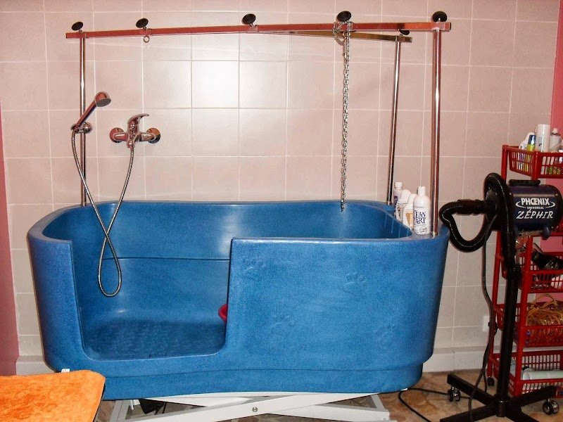 Amici a Quattro Zampe - Foto 5