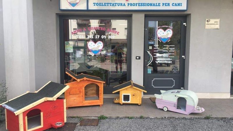 Amici A Quattro Zampe Toelettatura di Evelin e Mirko - Foto 1