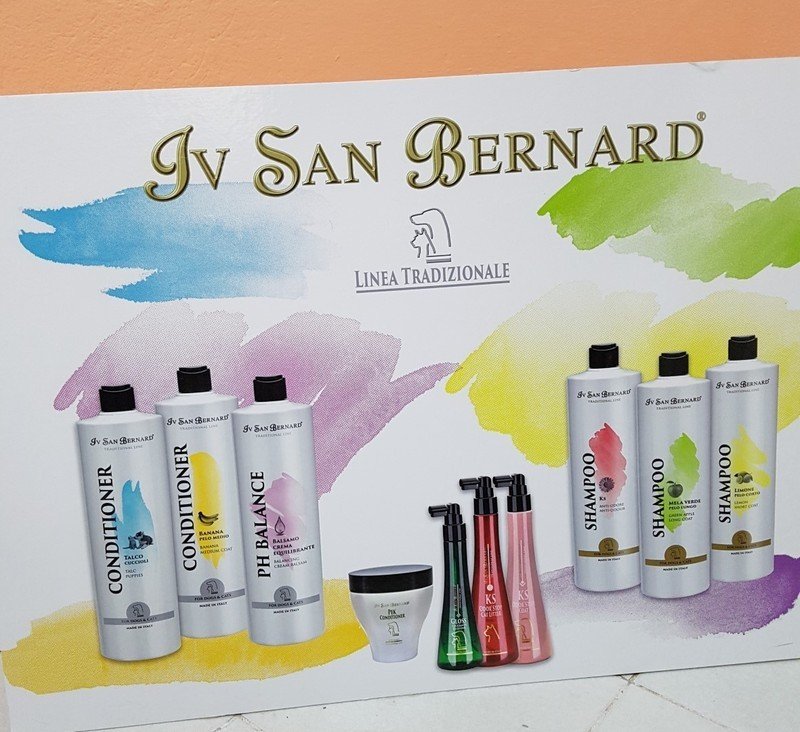 Amici a Quattro Zampe - Foto 3