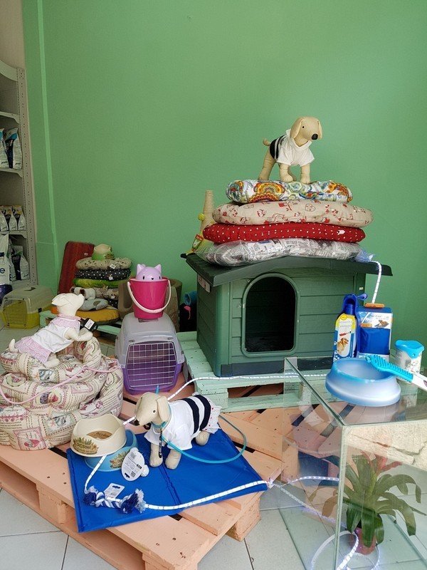 Amici a Quattro Zampe - Foto 4