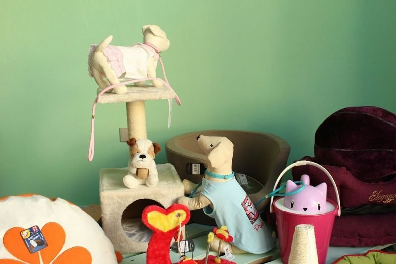 Amici a Quattro Zampe - Foto 5