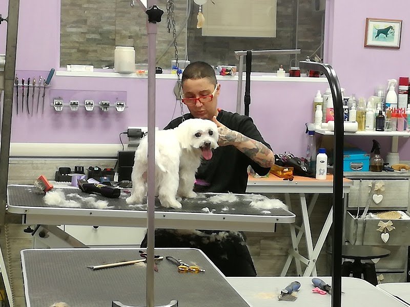 Amici Accaniti Di Silvia Vichi - Foto 6