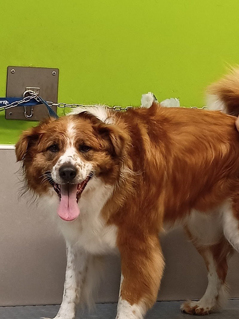 Amici di casa Coop - Foto 4