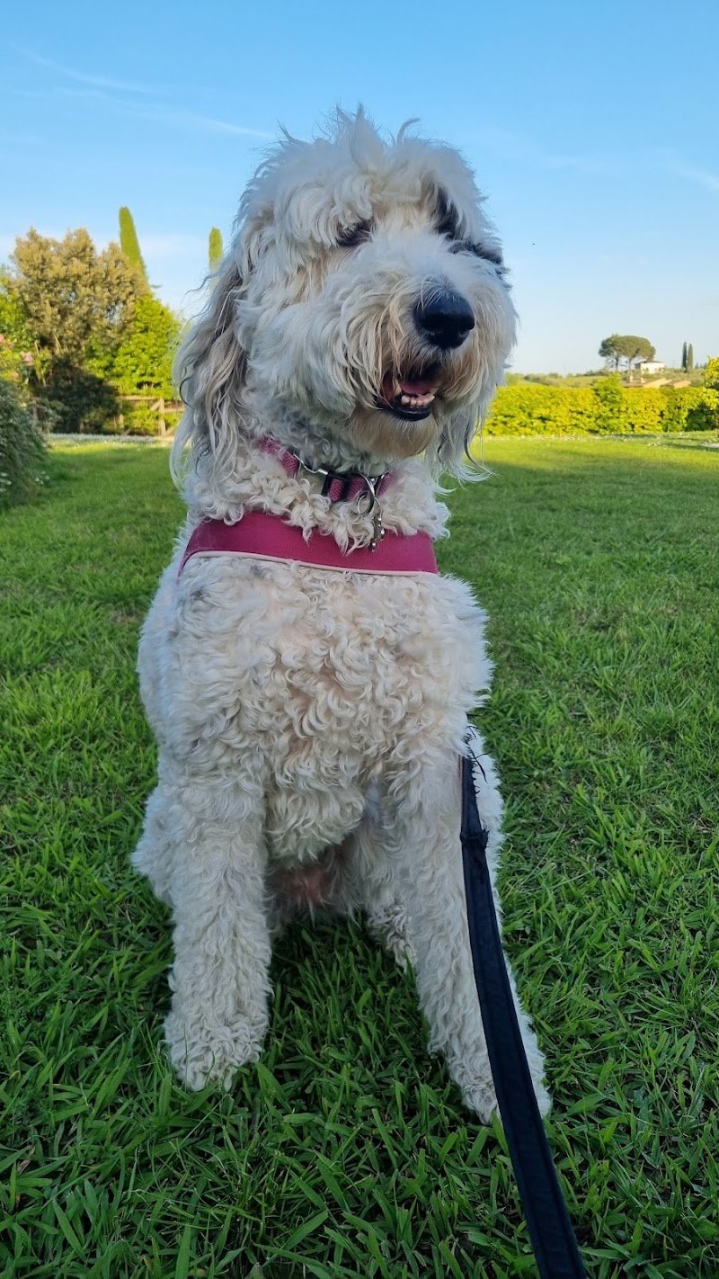 Amici di casa Coop - Foto 5