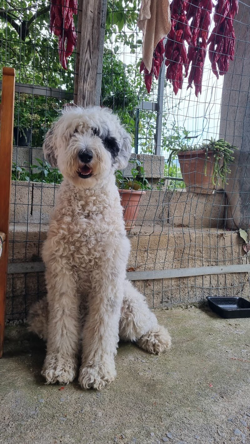 Amici di casa Coop - Foto 6