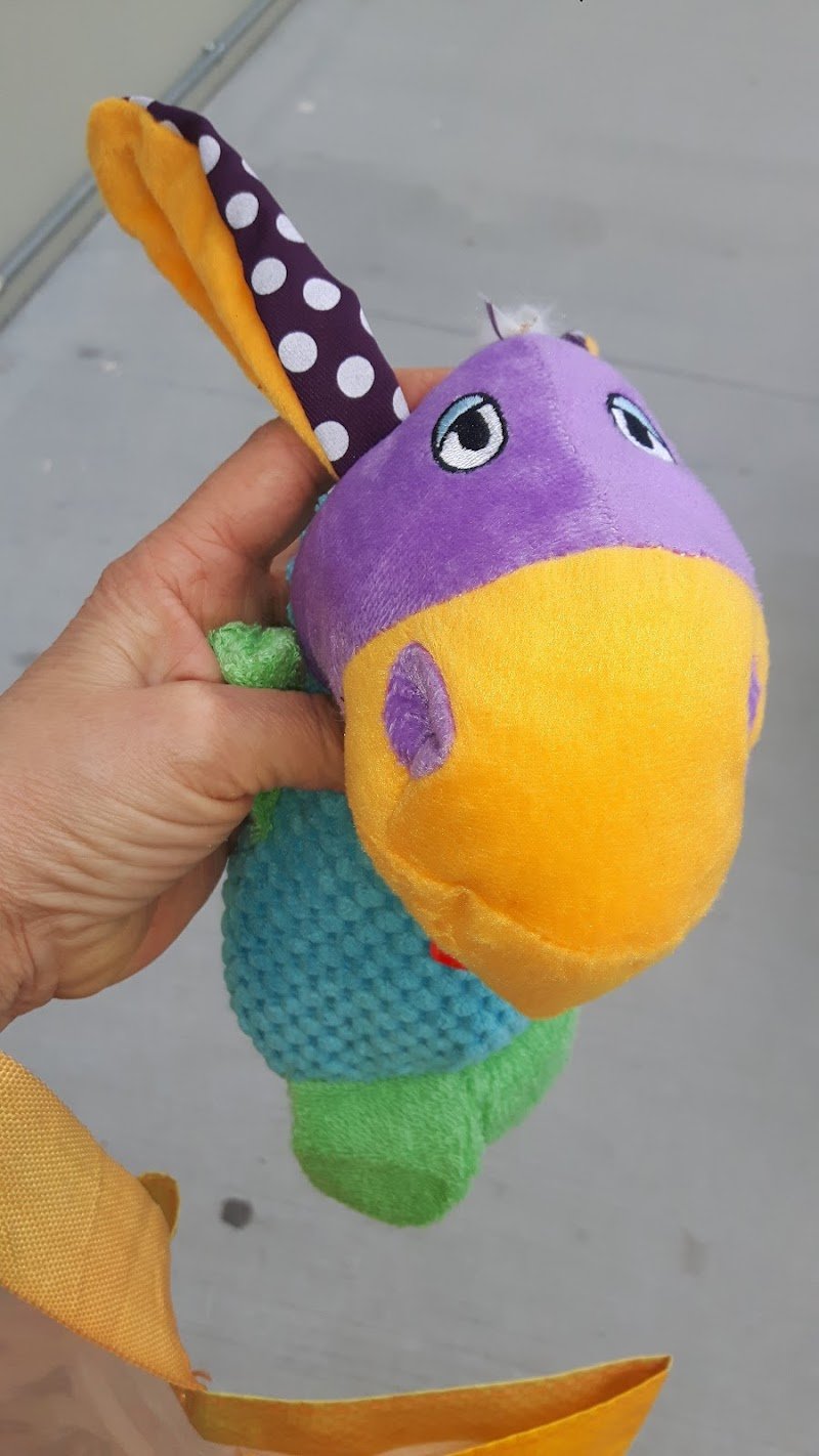 Amici di casa Coop - Foto 6