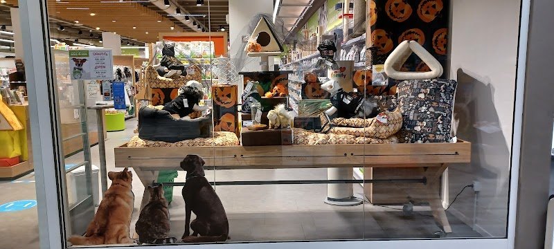 Amici di casa Coop - Foto 2