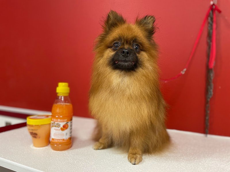 Amici di Pelo di Sartori Greta - Foto 5