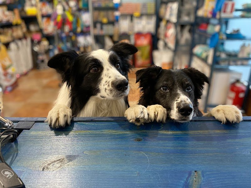 Amici di Pelo di Sartori Greta - Foto 6