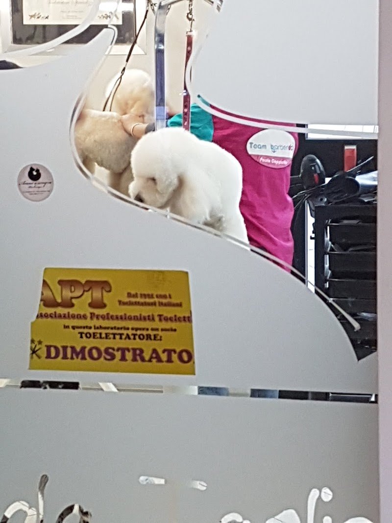 Amici Di Sempre Di Petronella Antonella - Foto 2