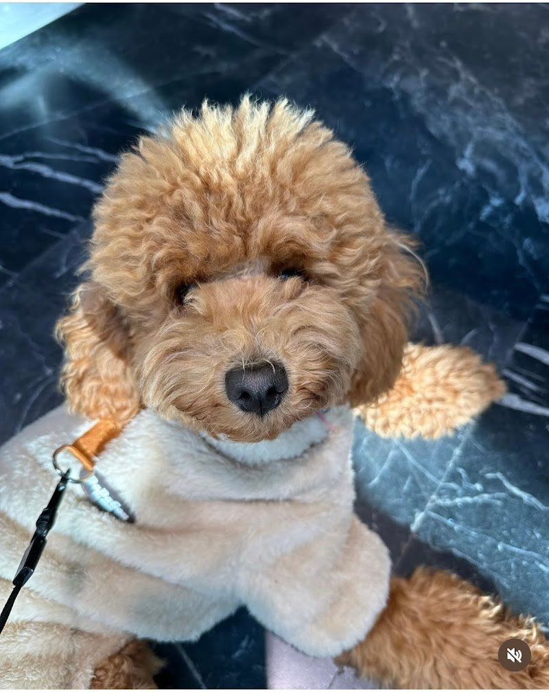 Amici di Socrate - Foto 2