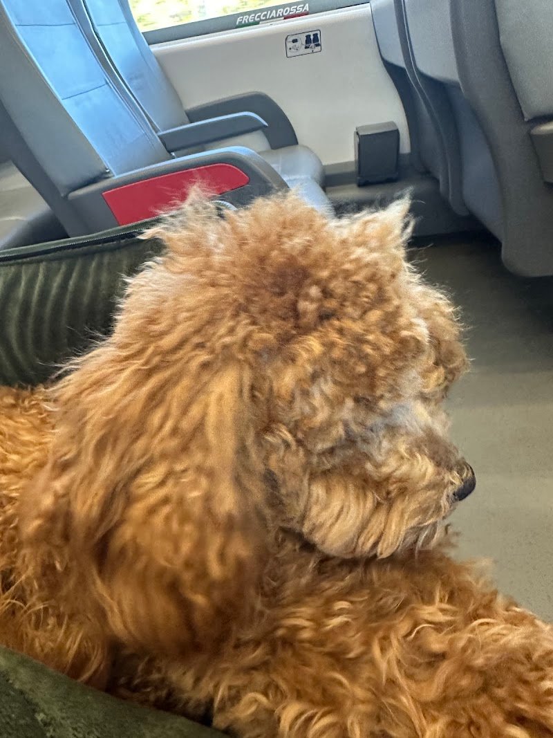 Amici di Socrate - Foto 3