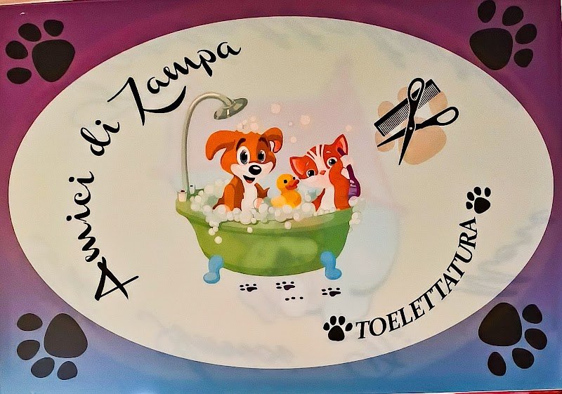 Amici Di Zampa - Foto 6