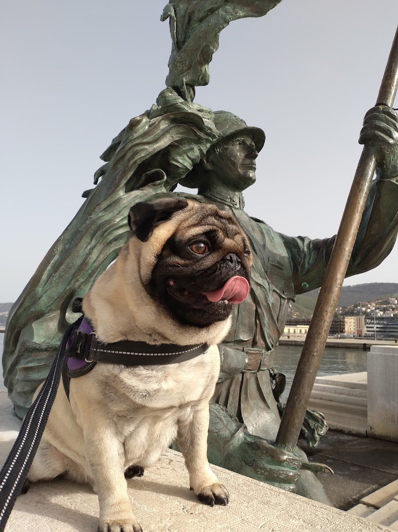 Amici di zampa - Foto 1